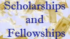 difference between fellowships and scholarships