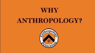 Anthropology easiest college majors
