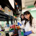 Top 10 Graduate Chemical Engineering Schools in the World
