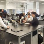 Education Requirements for Biomedical Engineering