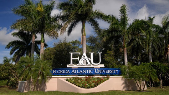 list of public universities in florida ranking