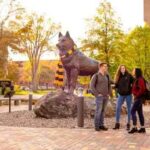 Zahteve za sprejem na univerzo Michigan