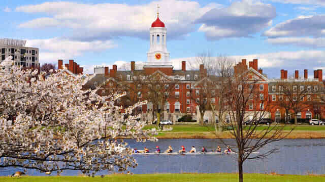 Universities in Cambridge Massachusetts
