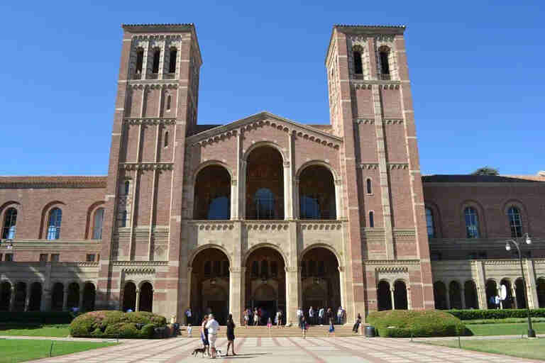 UCLA-akseptrate etter major