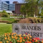 Laju ditampa Universitas Brandeis