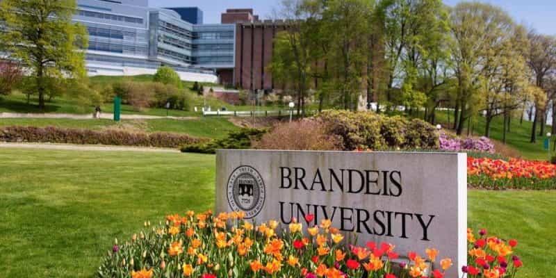 Brandeis Universiteit Aanvaardingskoers