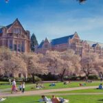 Rata de acceptare la Universitatea din Washington