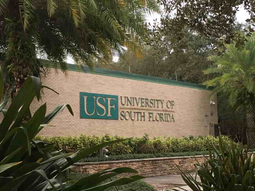 USF Acceptance Rate