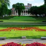 Tasso di accettazione dell'Università del Minnesota