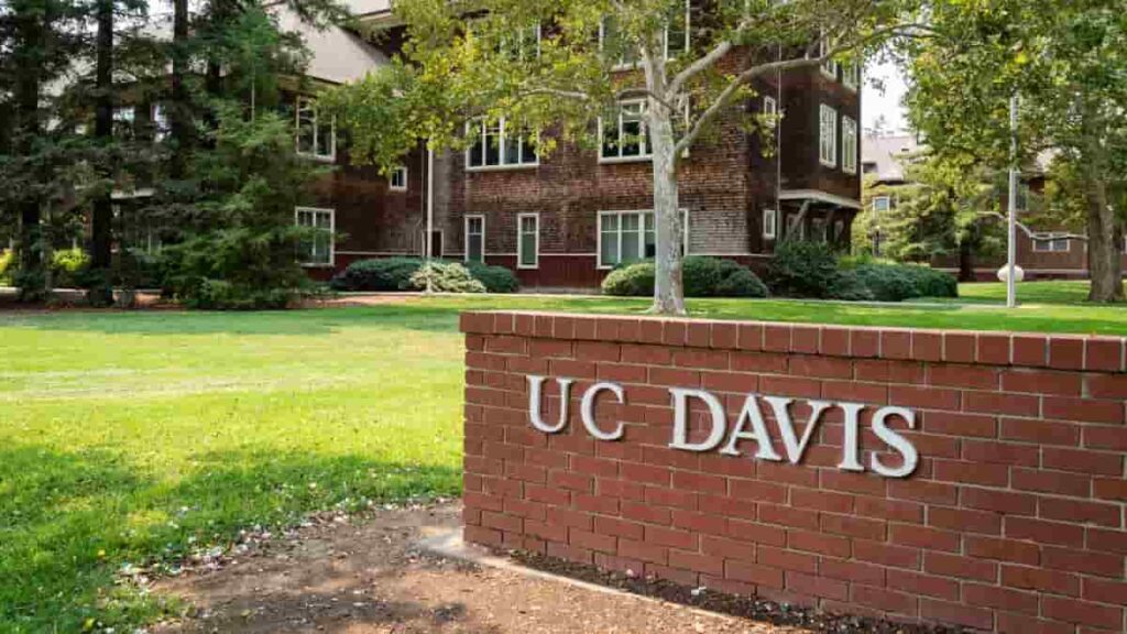 UC Davis Akzeptanz Taux