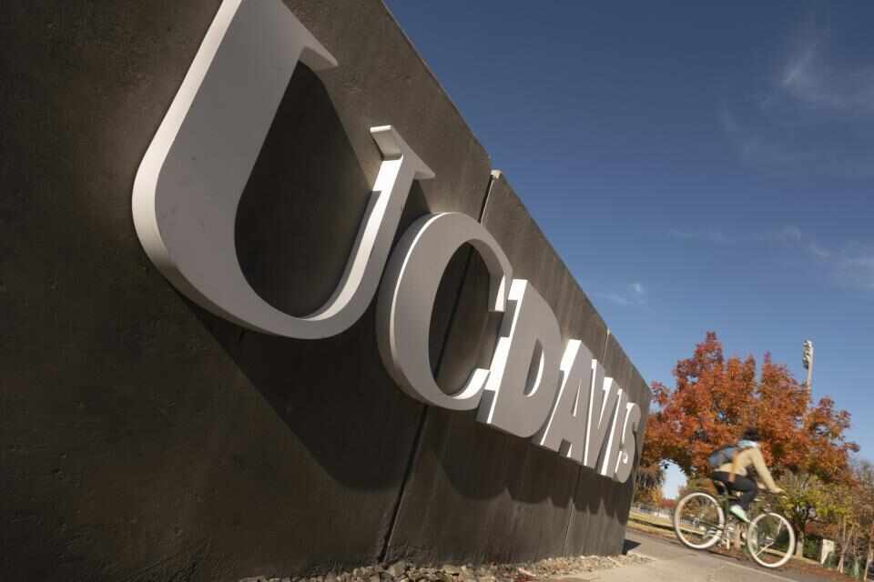 UC Davis acceptansgrad av major