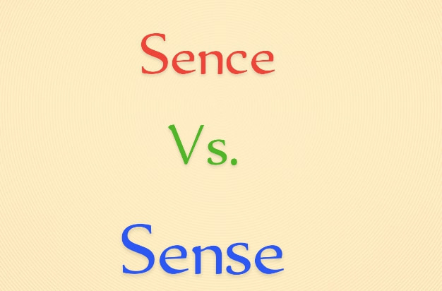 Sence vs Sense