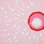 White Sperm vs Clear Sperm