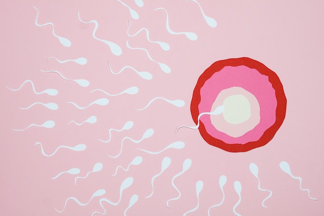Espermatozoide zuria vs espermatozoide garbia