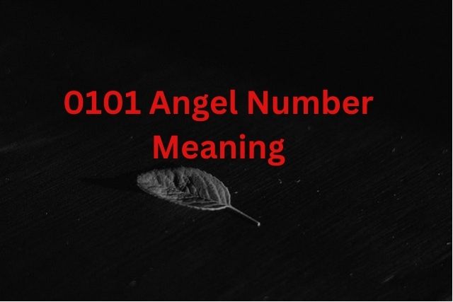 0101 Angel Number Intsingiselo