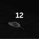 12 Angel Number Meaning