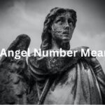 231 Angel Number Meaning