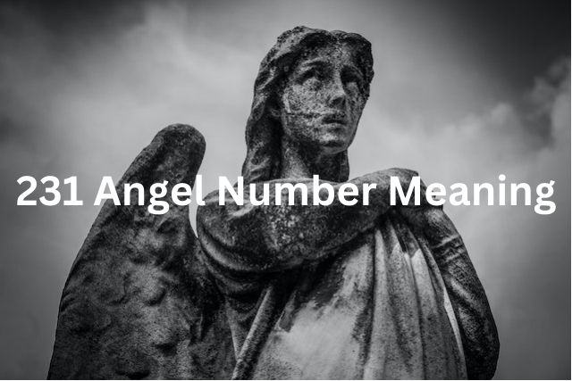 231 Angel Number Meaning