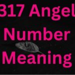 317 Angel Number Meaning