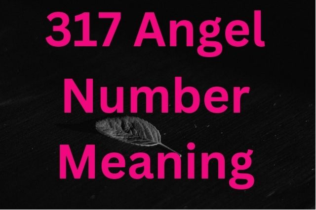 317 Angel Number Meaning