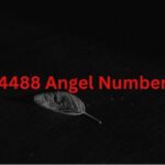 4488 сахиусан тэнгэрийн дугаар