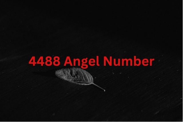 4488 Enkelinumero