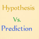Hypothesis vs Prediction
