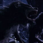 Lycan vs Werewolf