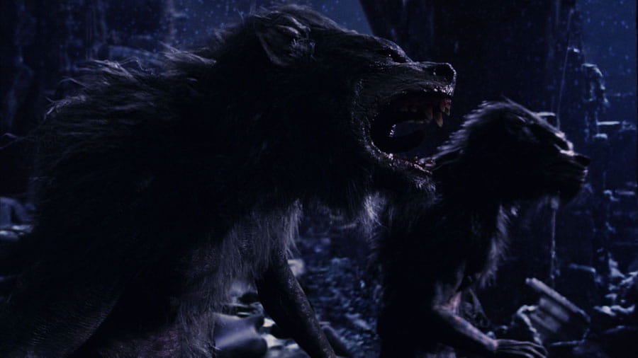 Lycan dhidi ya Werewolf