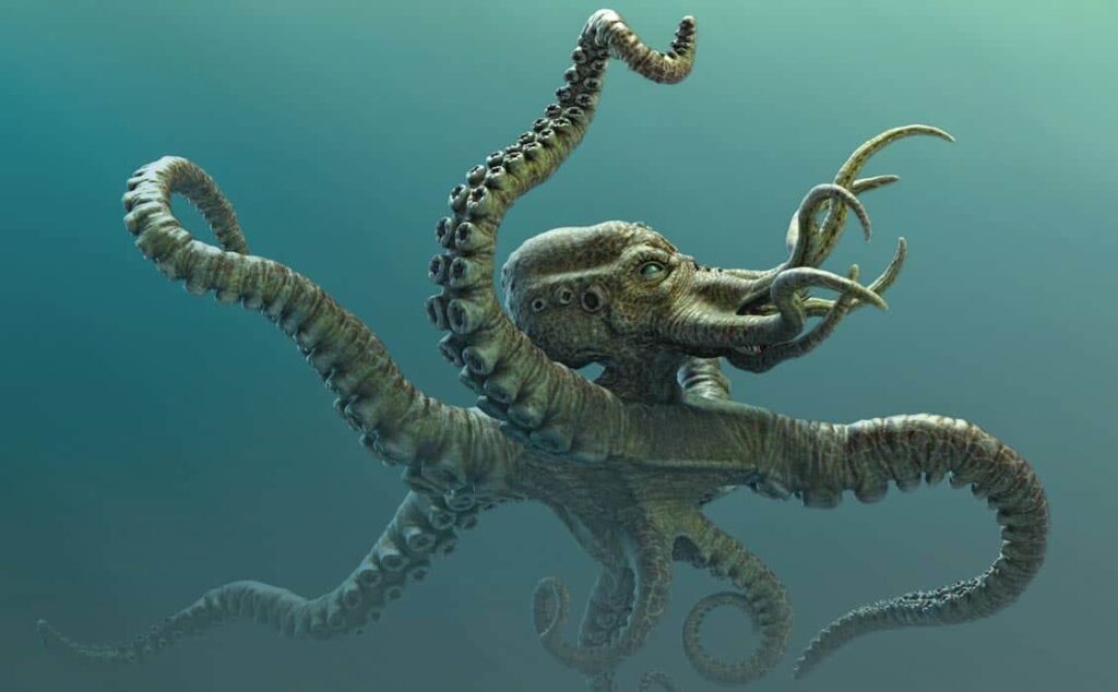 Kraken vs Octopus