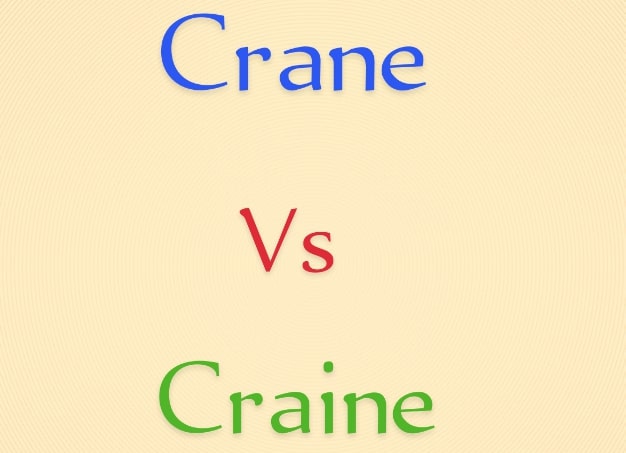 Crane vs Craine