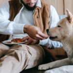 Կարո՞ղ են շները մակարոնեղեն ուտել