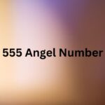 فرشته شماره 555