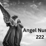 天使222