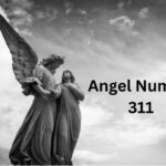 Engel nummer 311