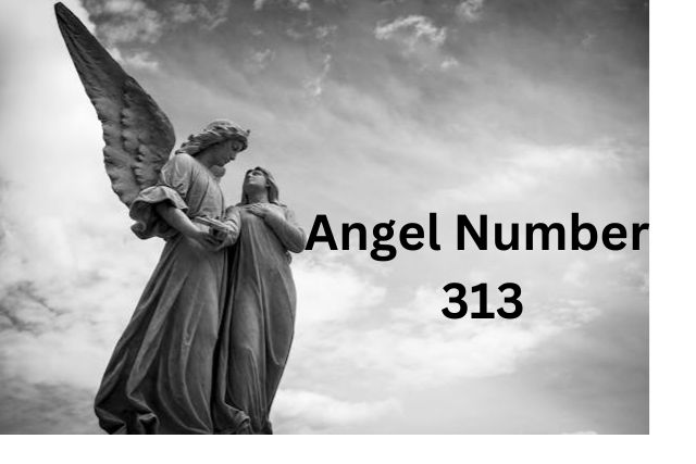 Meaning of Angel Number 313