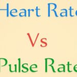 Heart Rate vs Pulse Rate